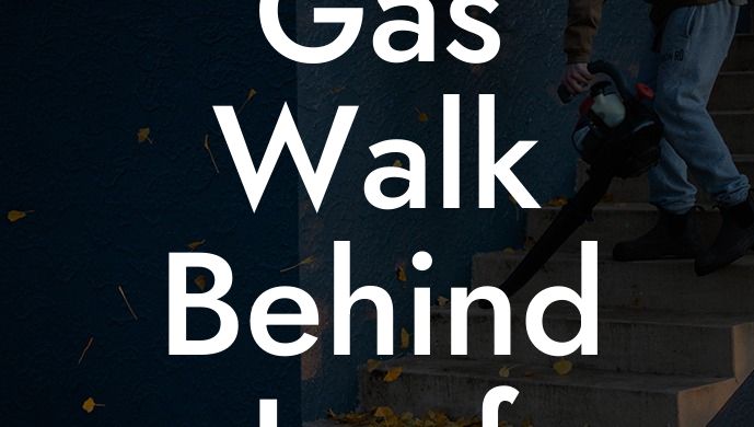 Gas Walk Behind Leaf Blower