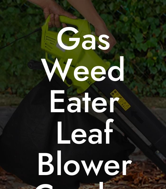 Gas Weed Eater Leaf Blower Combo