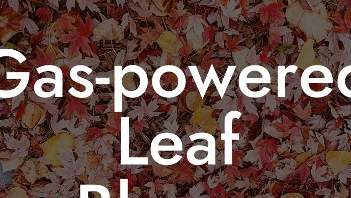 Gas-powered Leaf Blower Ban