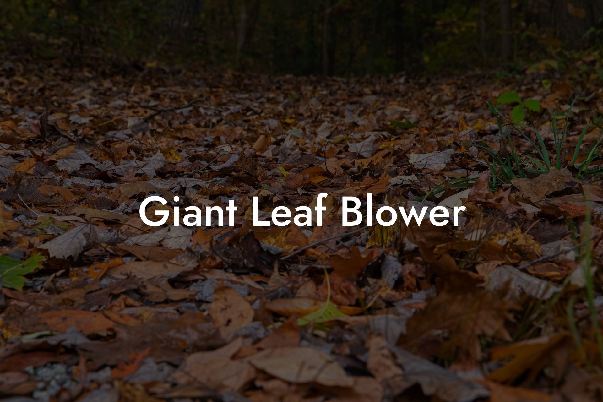 Giant Leaf Blower