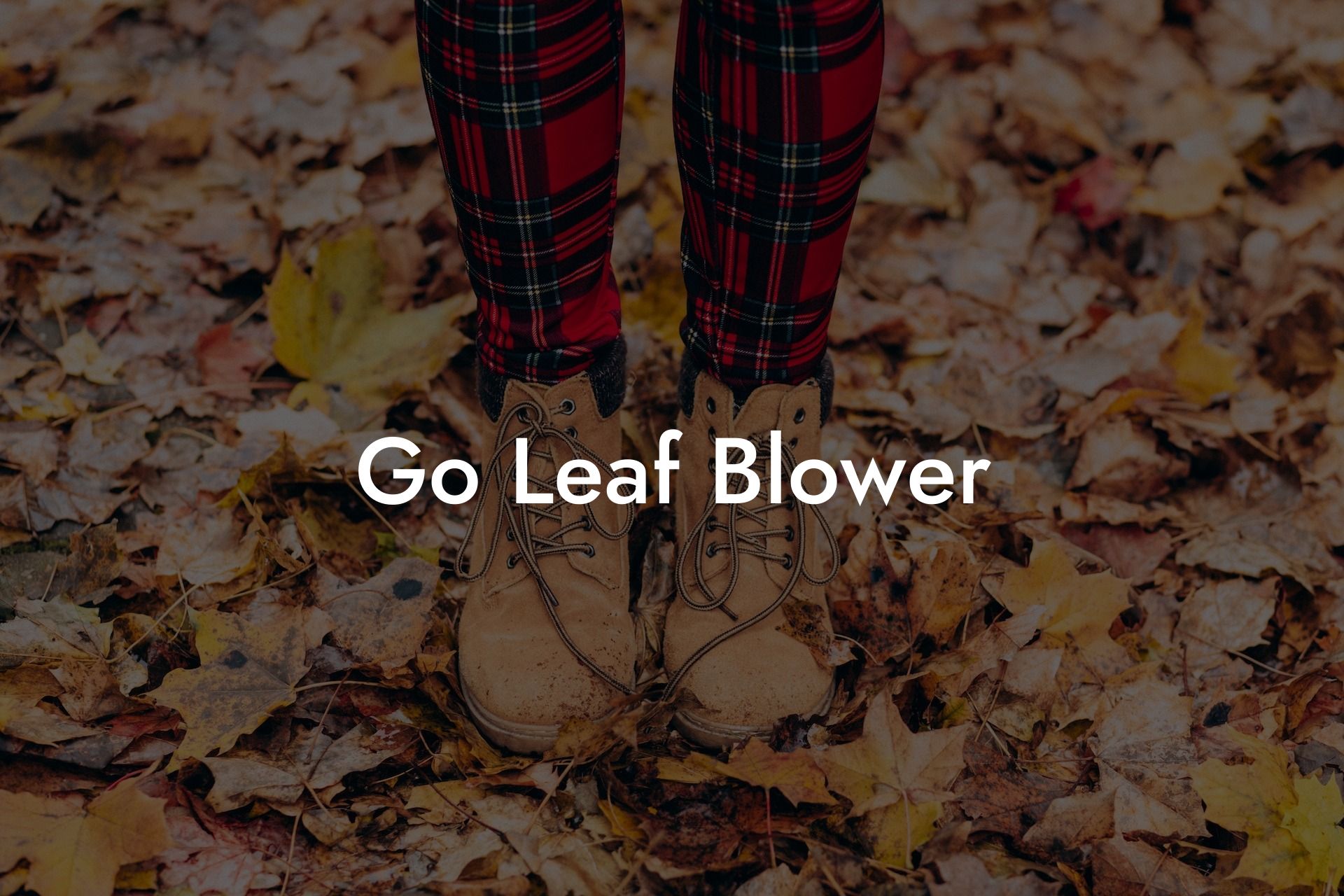 Go Leaf Blower