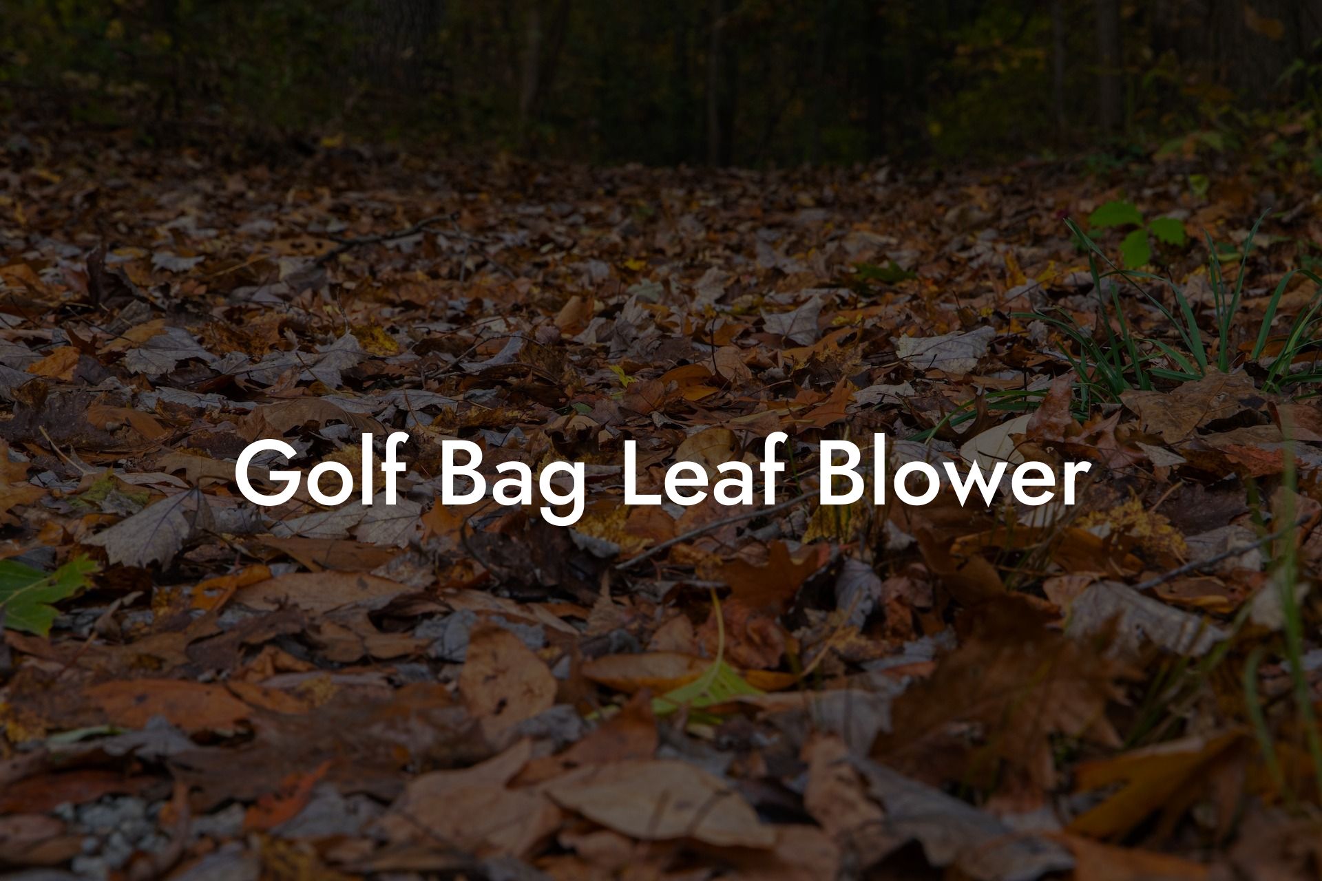 Golf Bag Leaf Blower