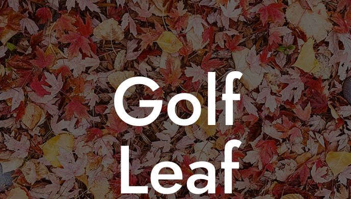 Golf Leaf Blower