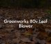 Greenworks 80v Leaf Blower