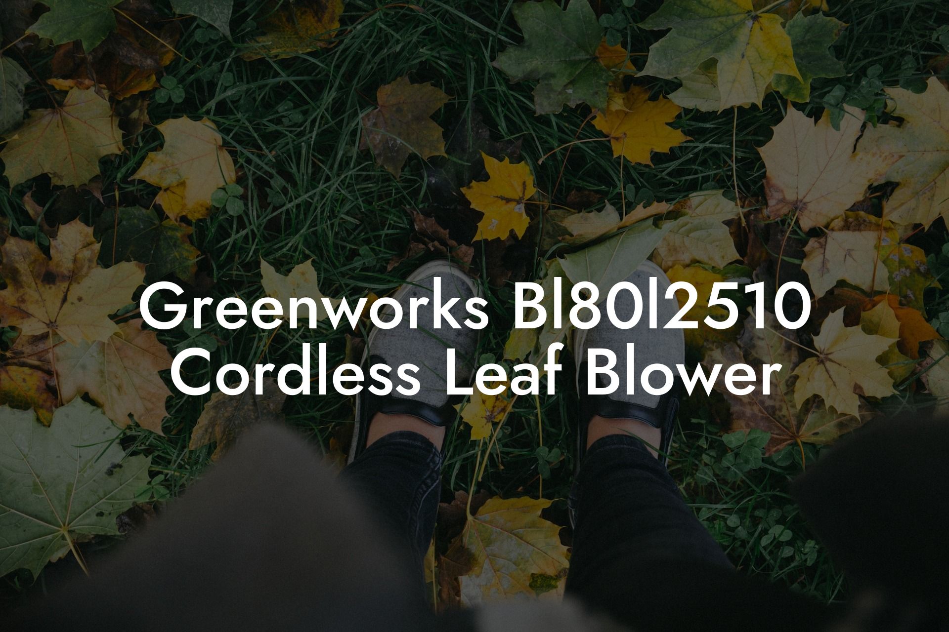 Greenworks Bl80l2510 Cordless Leaf Blower