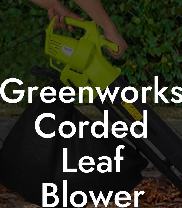 Greenworks Corded Leaf Blower