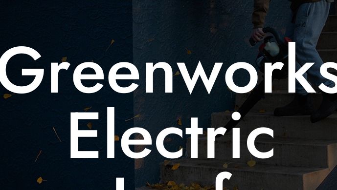 Greenworks Electric Leaf Blower