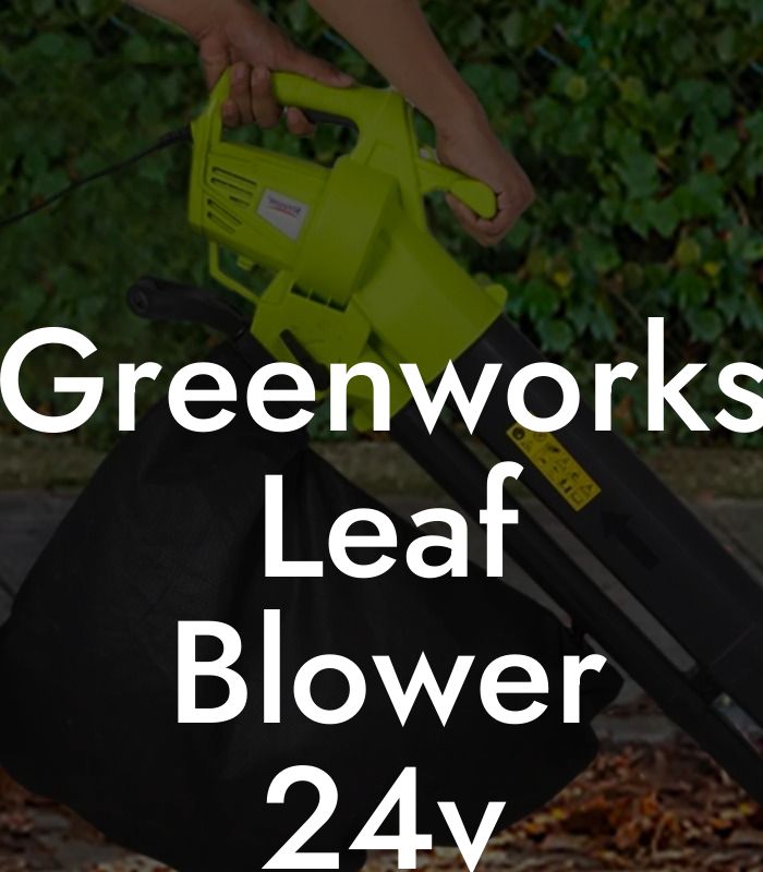 Greenworks Leaf Blower 24v