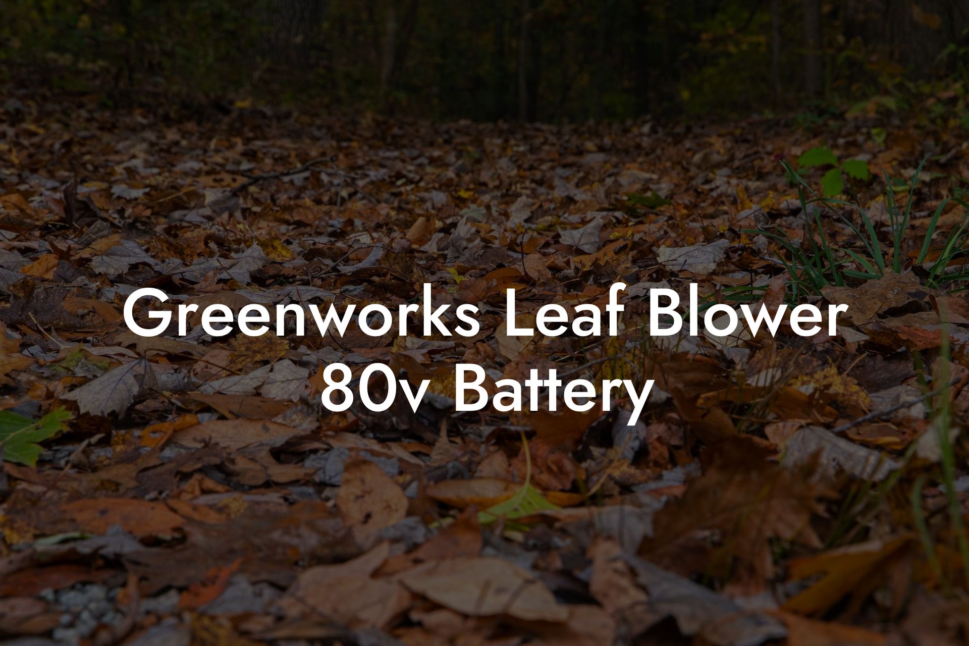 Greenworks Leaf Blower 80v Battery