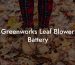 Greenworks Leaf Blower Battery