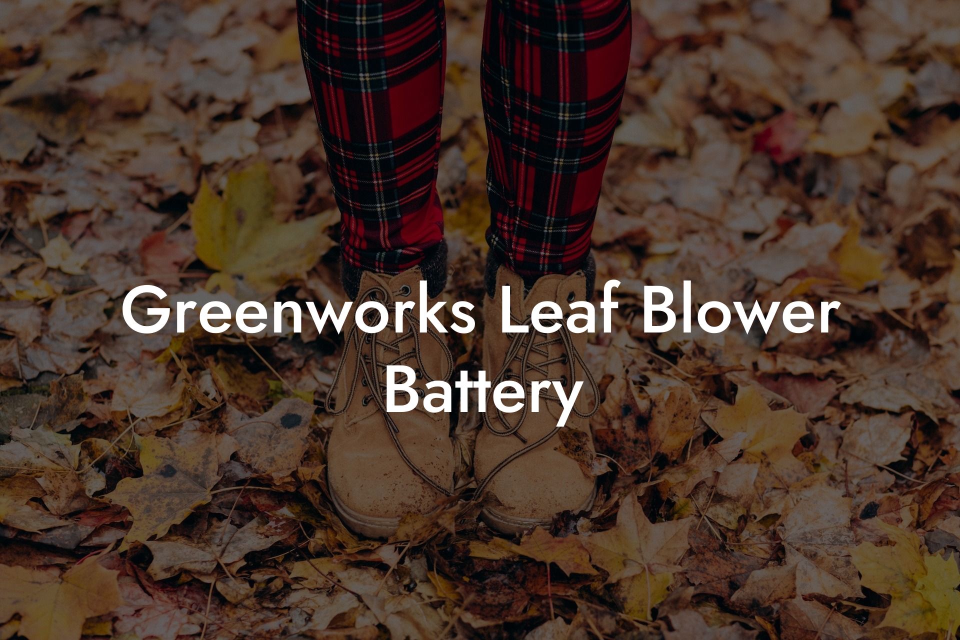 Greenworks Leaf Blower Battery