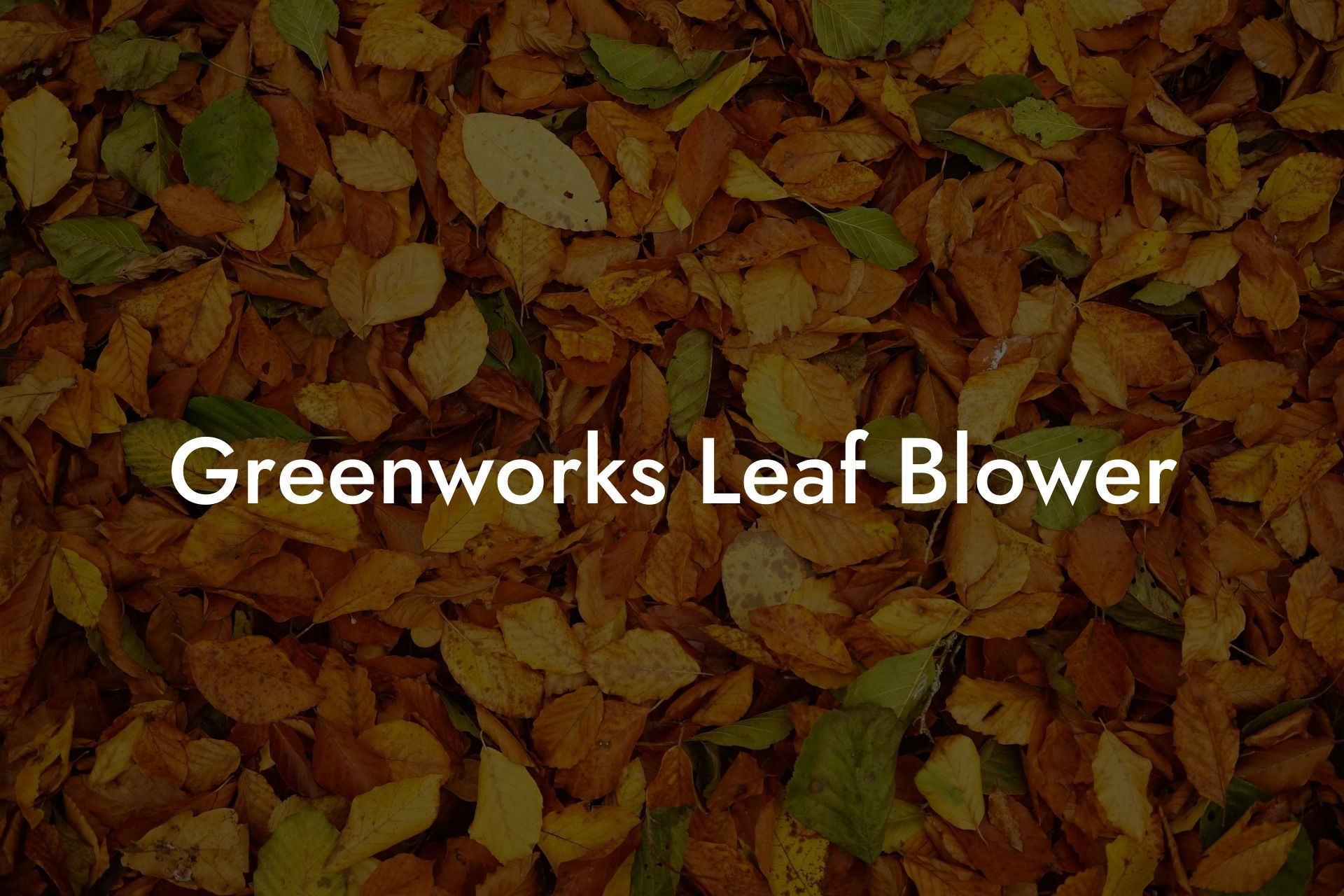 Greenworks Leaf Blower