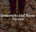 Greenworks Leaf Blower Vacuum