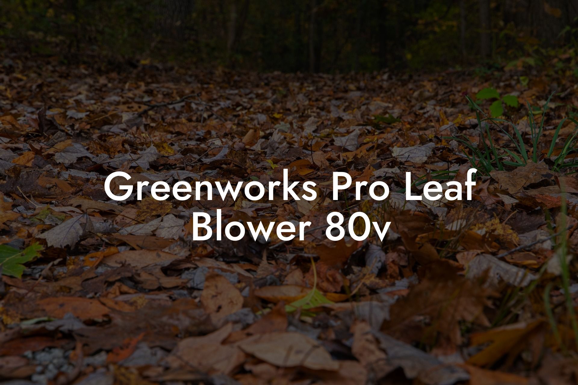 Greenworks Pro Leaf Blower 80v