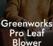 Greenworks Pro Leaf Blower