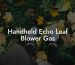 Handheld Echo Leaf Blower Gas