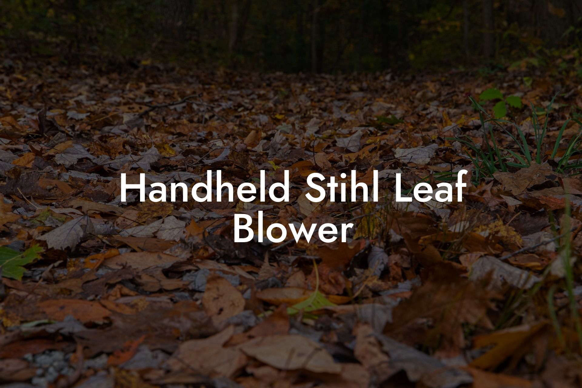 Handheld Stihl Leaf Blower