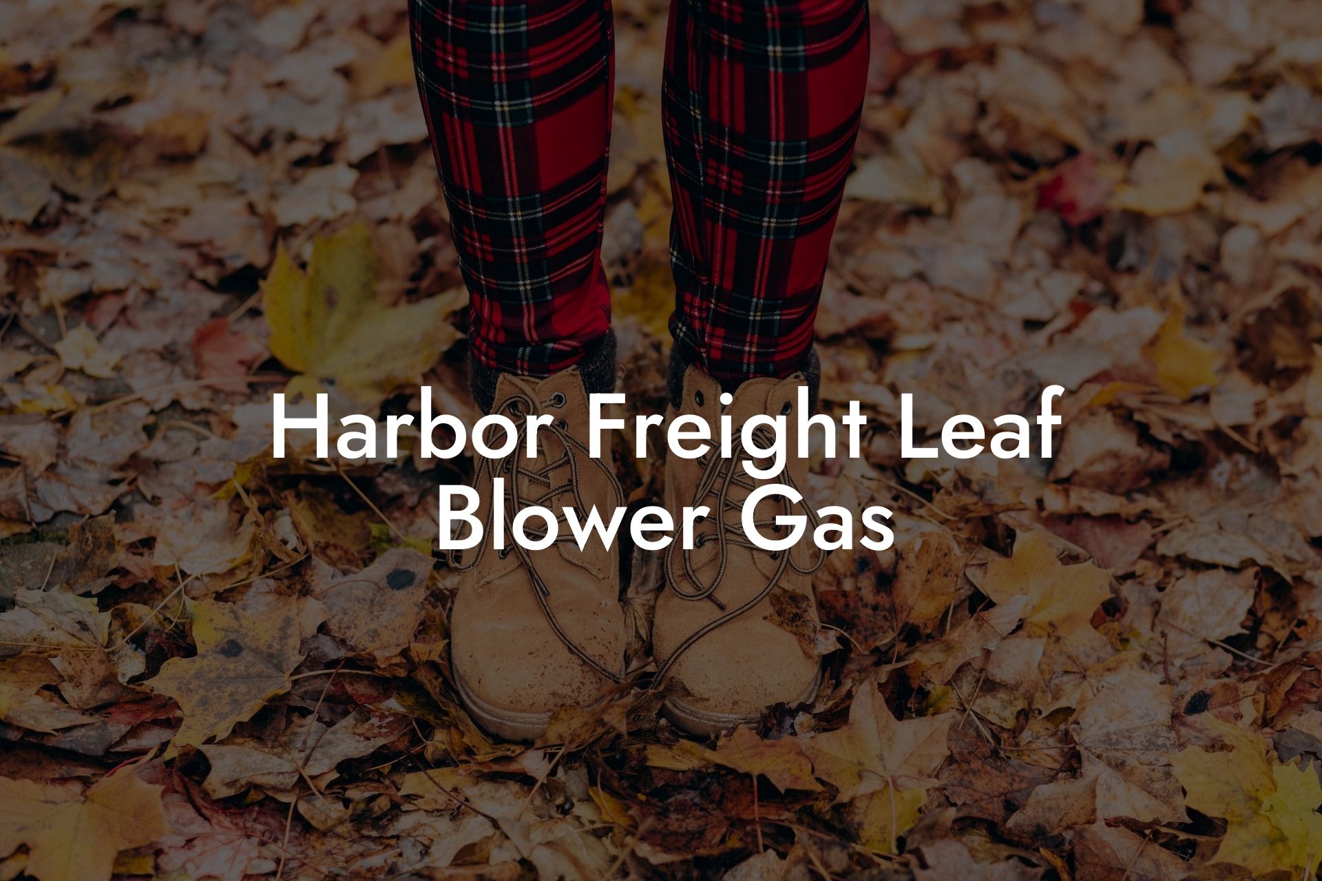 Harbor Freight Leaf Blower Gas