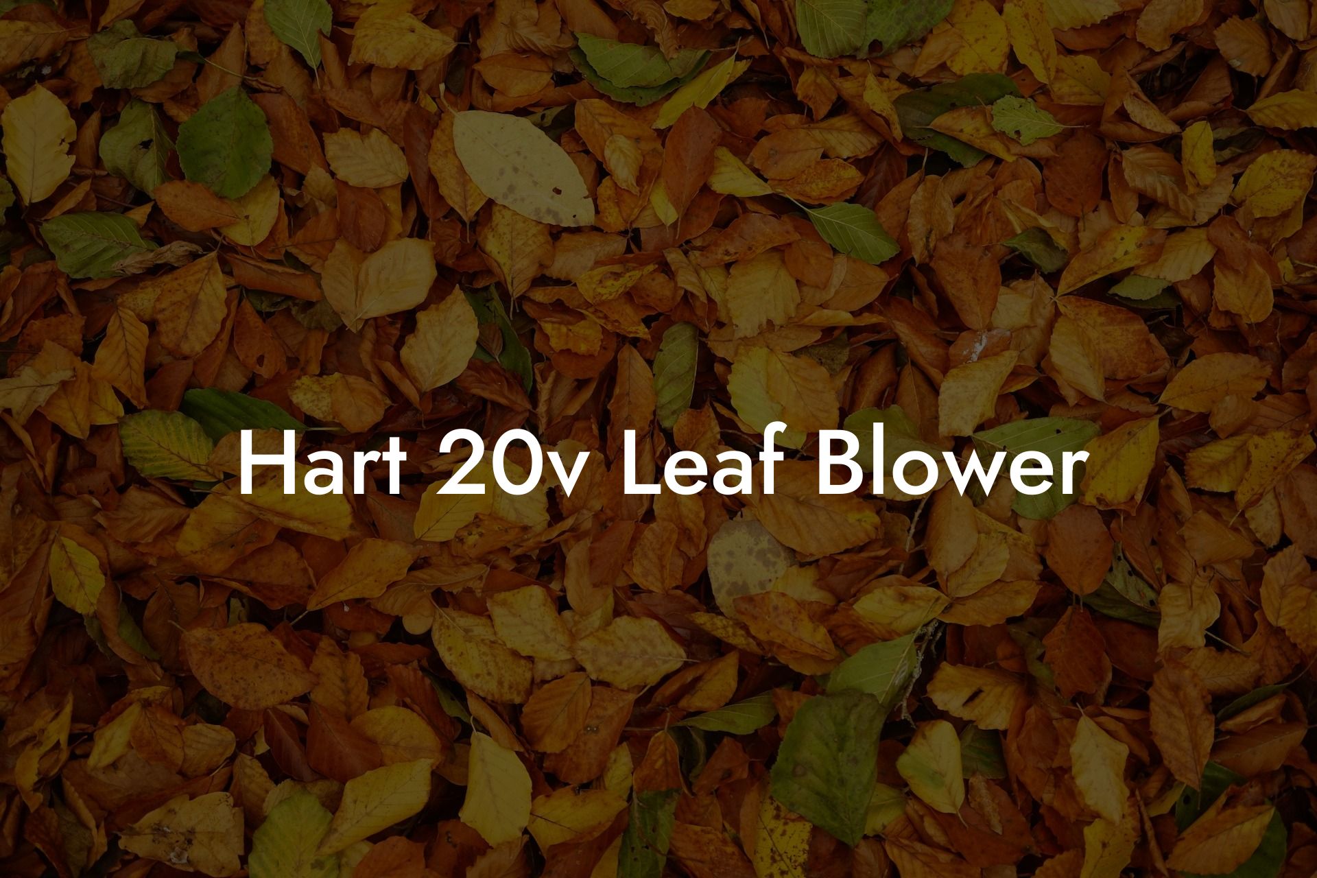 Hart 20v Leaf Blower