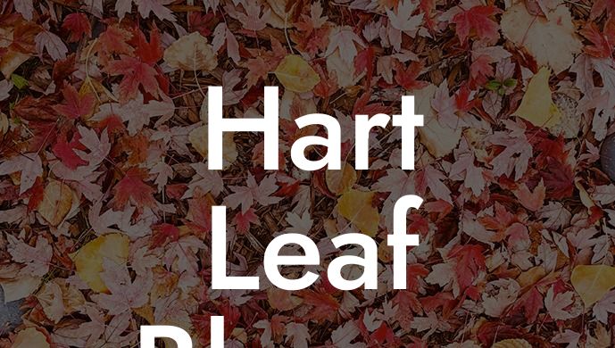 Hart Leaf Blower 20v