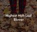 Highest Mph Leaf Blower