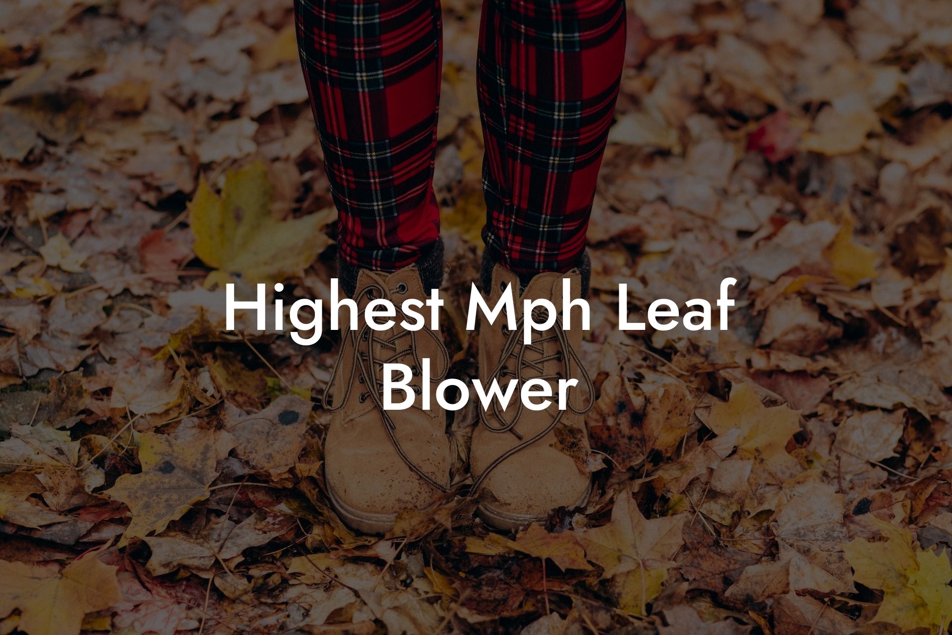 Highest Mph Leaf Blower