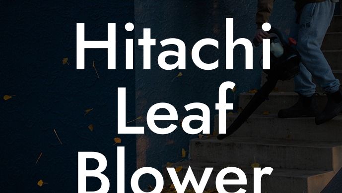 Hitachi Leaf Blower Fuel Mix