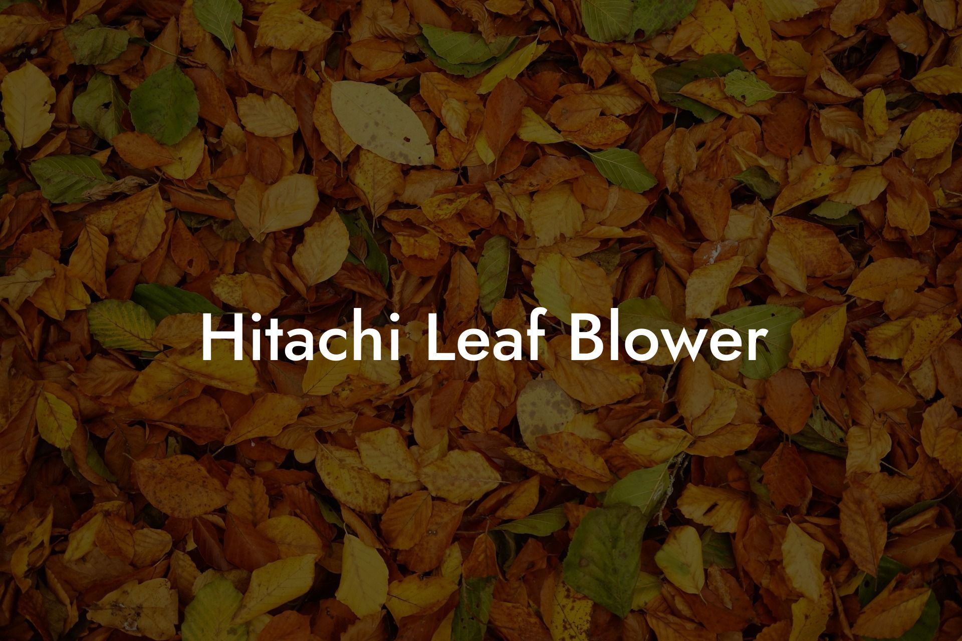 Hitachi Leaf Blower