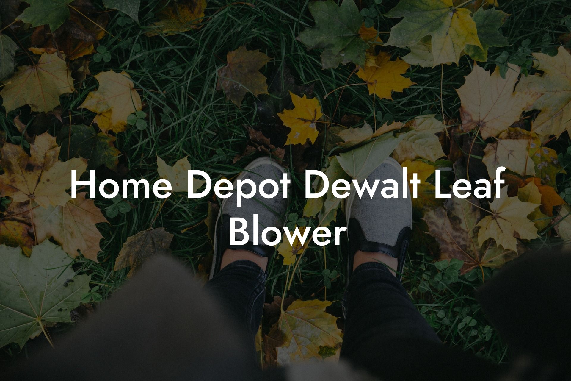 Home Depot Dewalt Leaf Blower