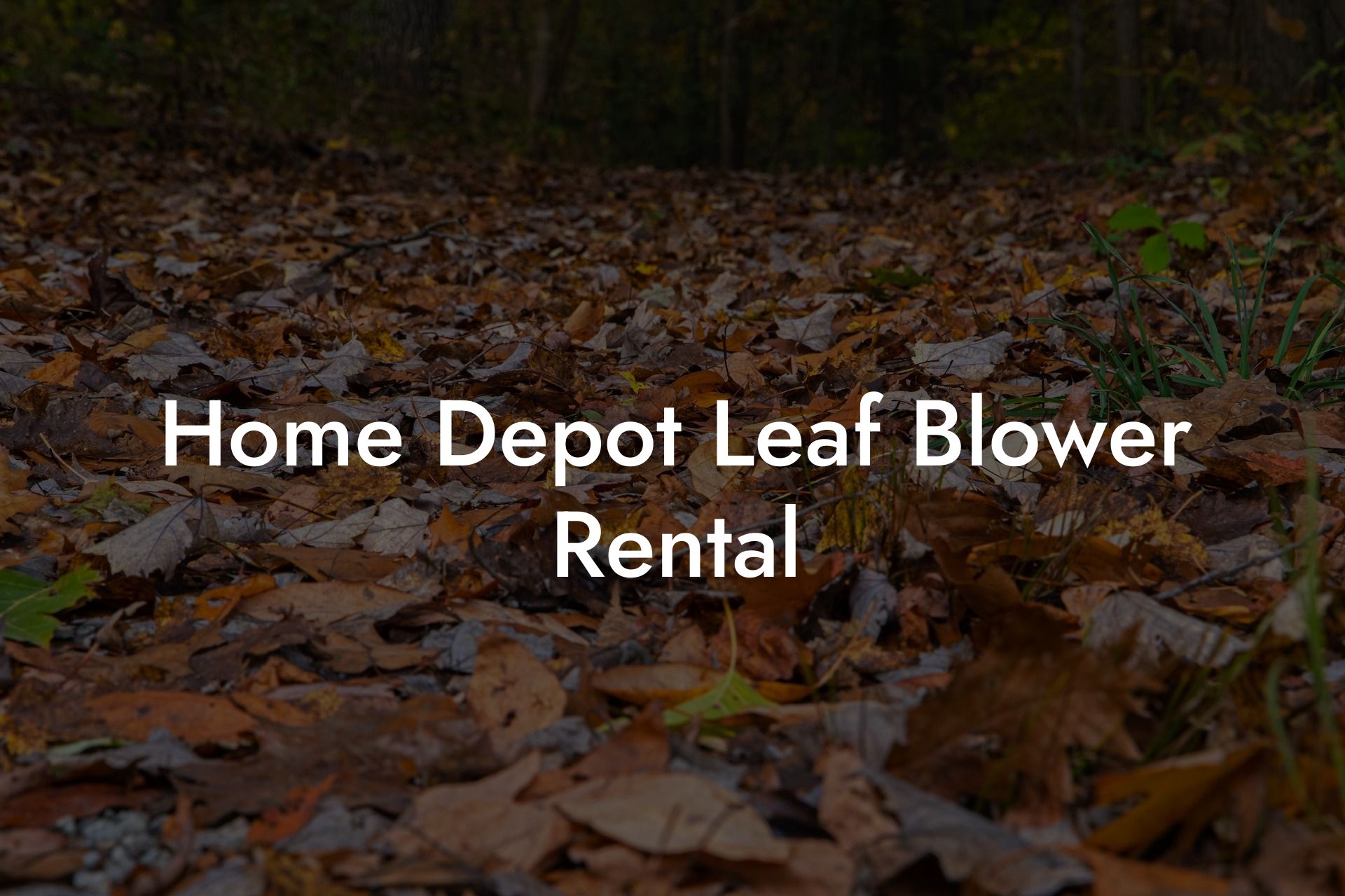 Home Depot Leaf Blower Rental