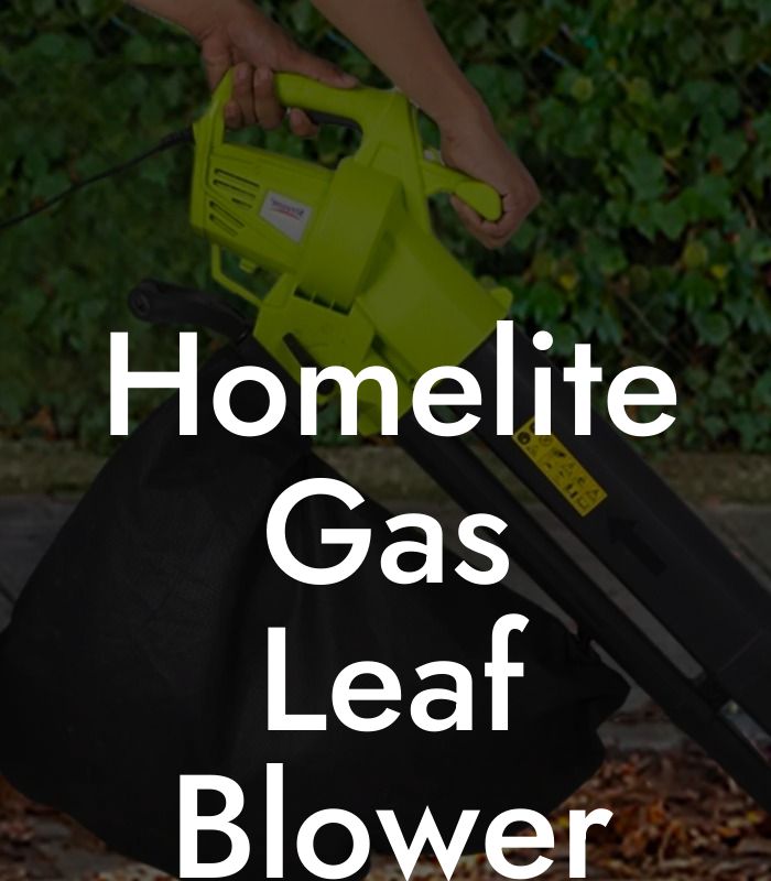 Homelite Gas Leaf Blower