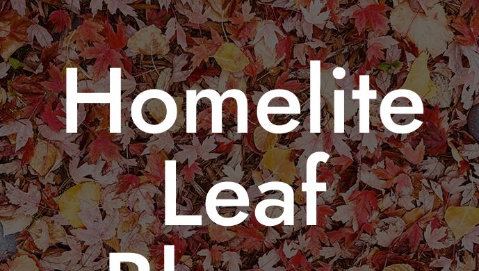 Homelite Leaf Blower Gas