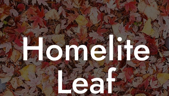 Homelite Leaf Blower