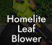 Homelite Leaf Blower Parts