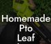 Homemade Pto Leaf Blower