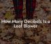 How Many Decibels Is a Leaf Blower