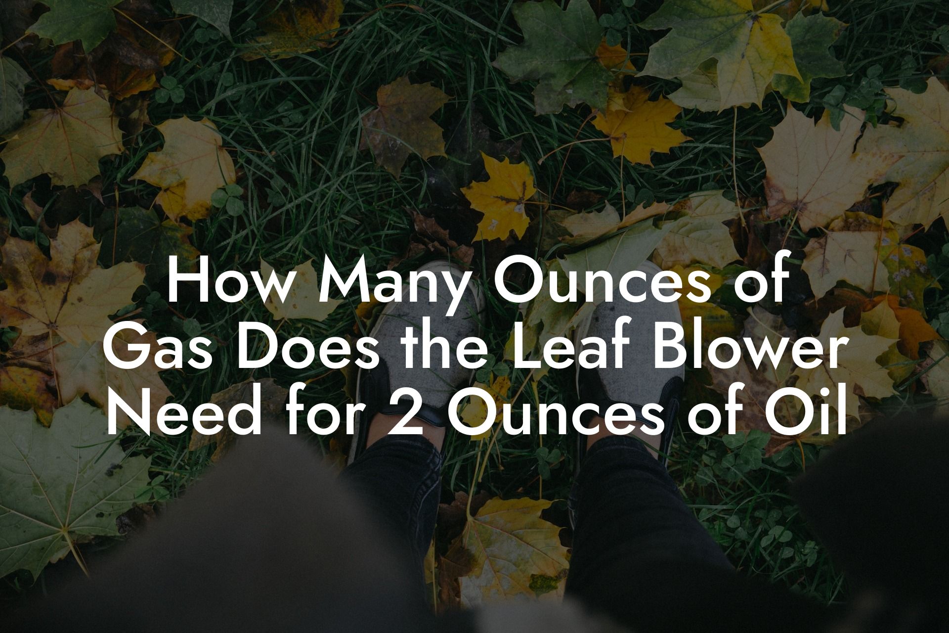 How Many Ounces of Gas Does the Leaf Blower Need for 2 Ounces of Oil