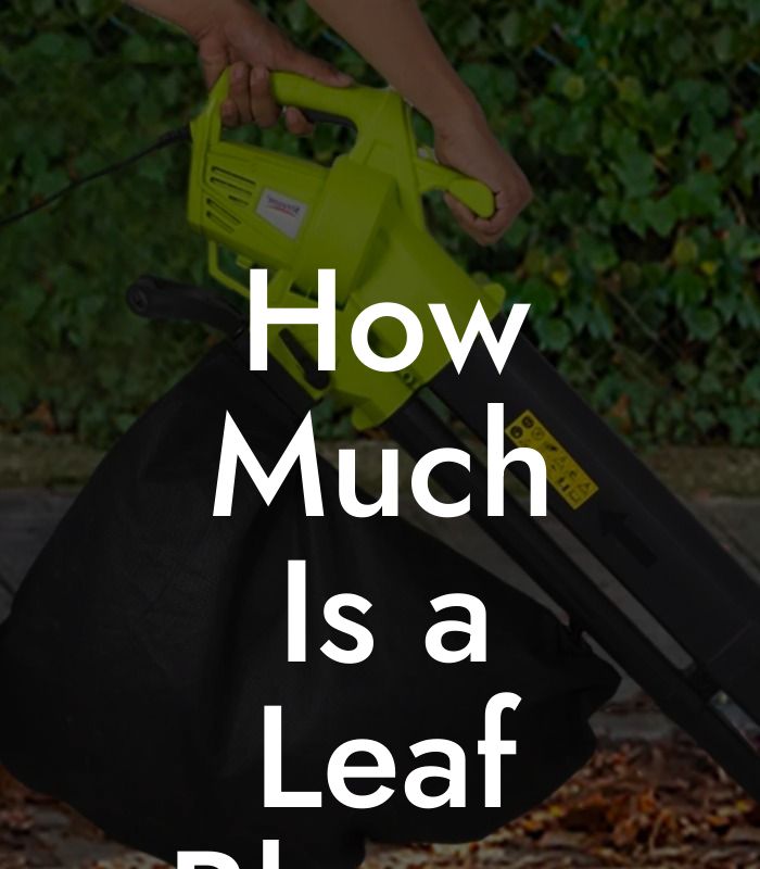 How Much Is a Leaf Blower