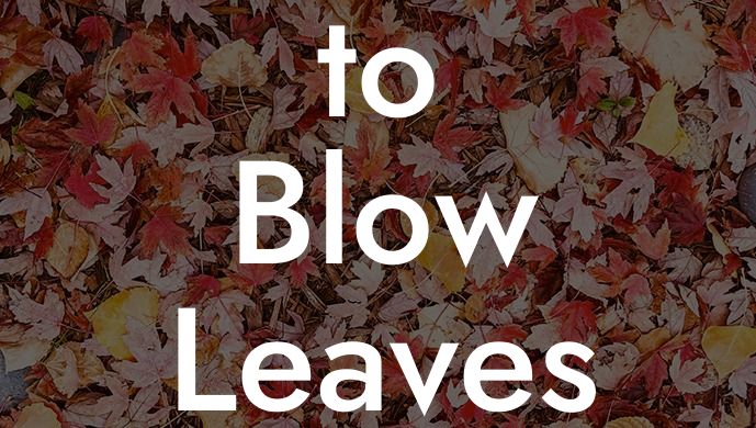 How to Blow Leaves With a Leaf Blower