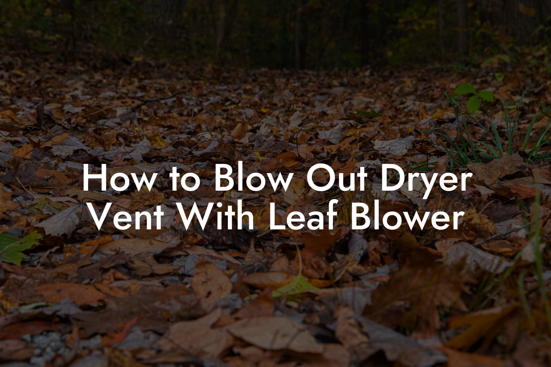 How to Blow Out Dryer Vent With Leaf Blower