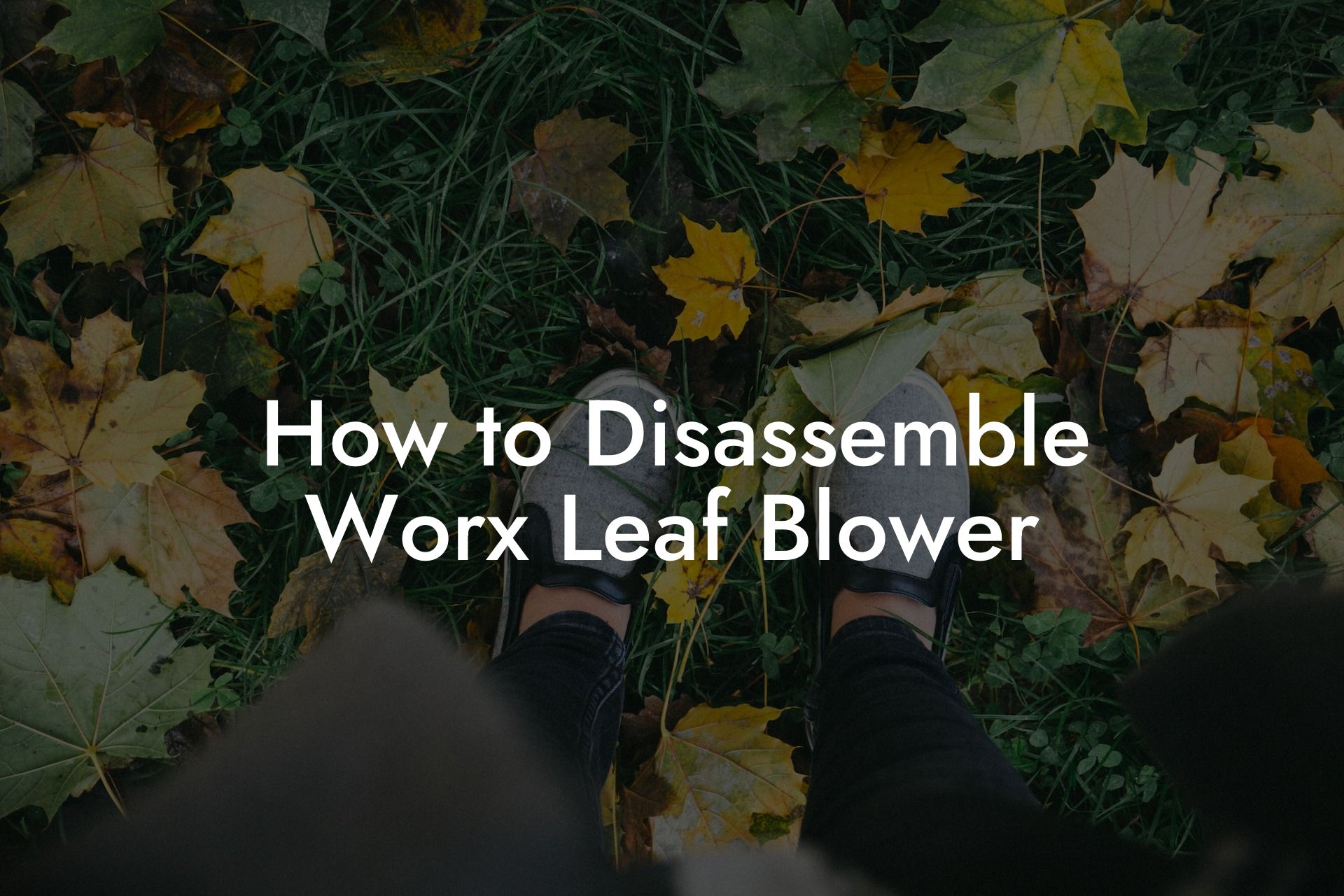 How to Disassemble Worx Leaf Blower