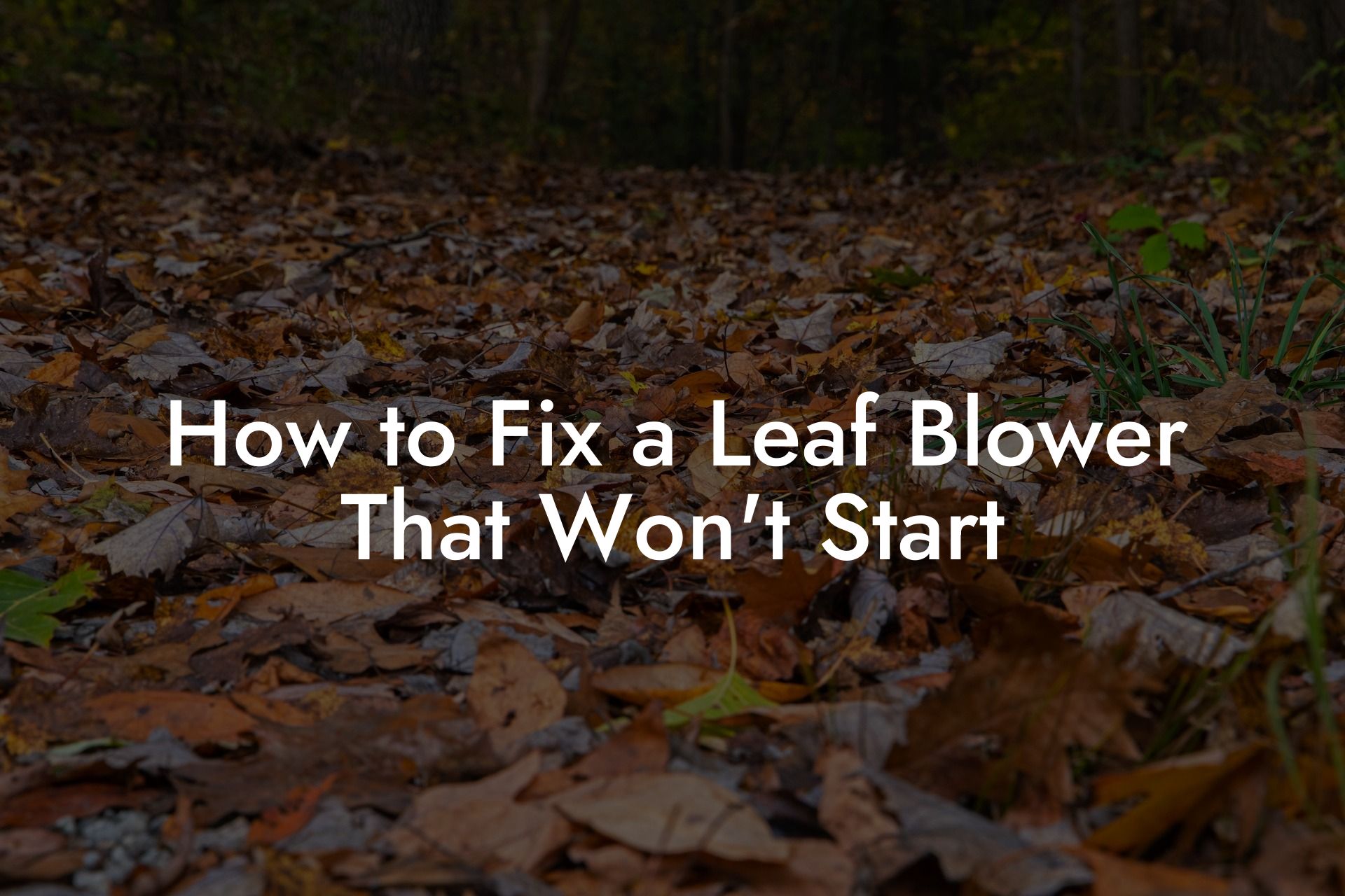 How to Fix a Leaf Blower That Won't Start