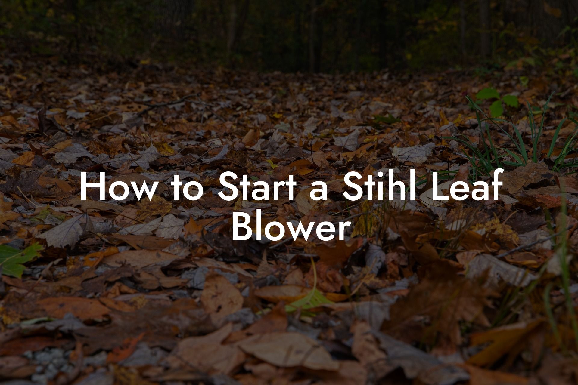 How to Start a Stihl Leaf Blower