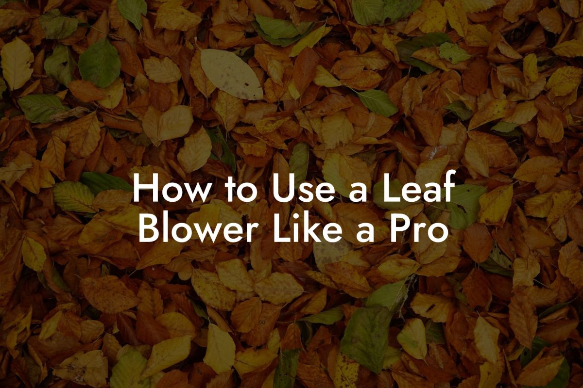 How to Use a Leaf Blower Like a Pro