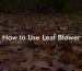 How to Use Leaf Blower