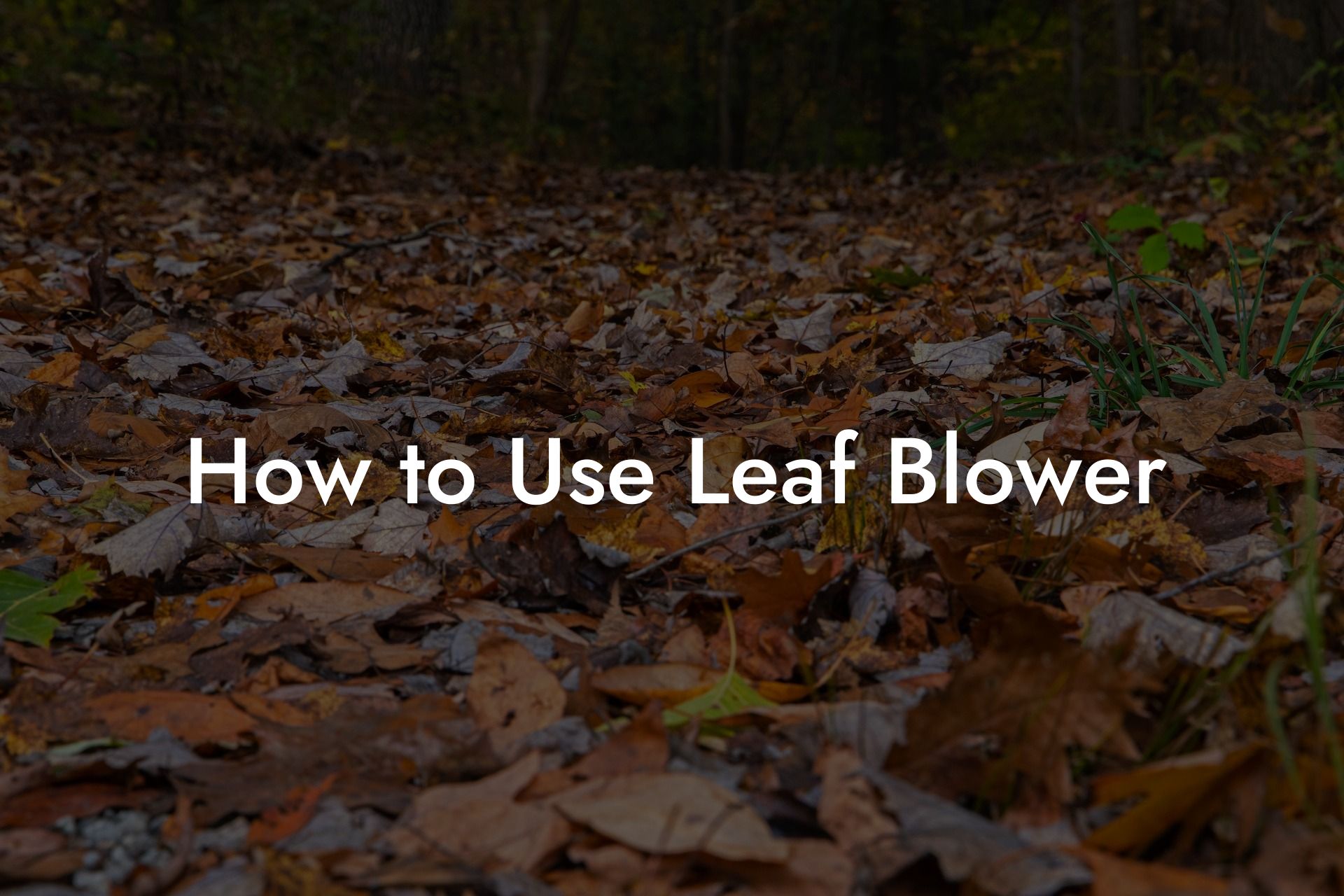 How to Use Leaf Blower