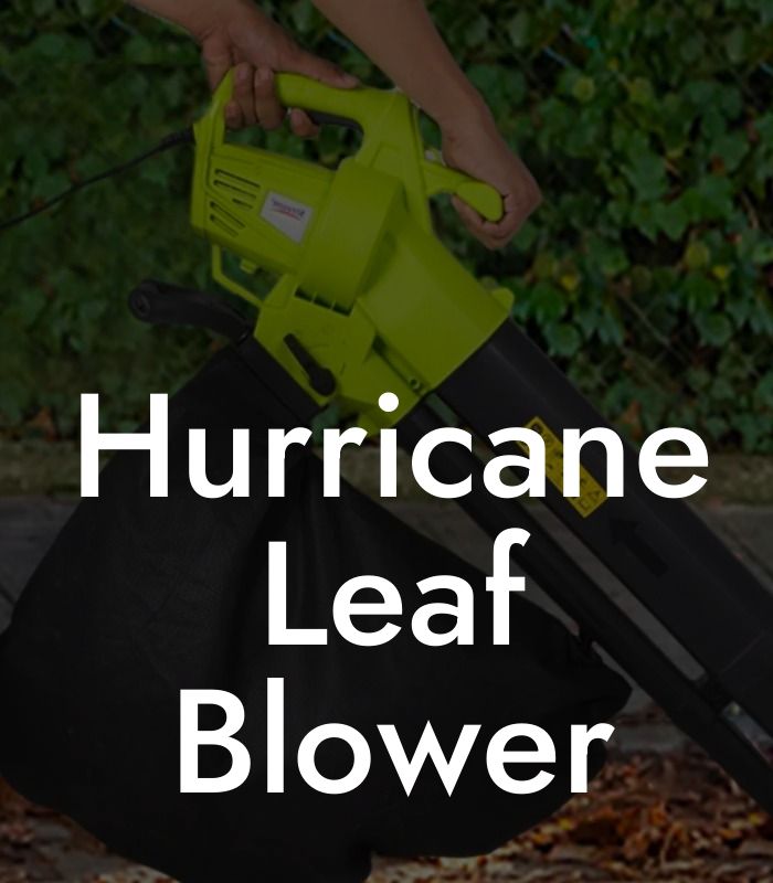 Hurricane Leaf Blower