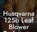 Husqvarna 125b Leaf Blower Carburetor