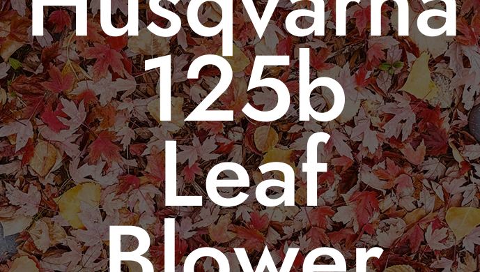 Husqvarna 125b Leaf Blower Won T Start