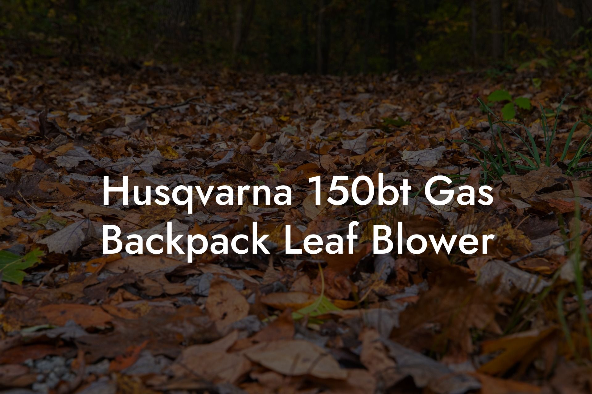 Husqvarna 150bt Gas Backpack Leaf Blower